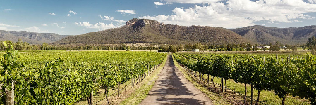 Australian Wines of the Hunter Valley