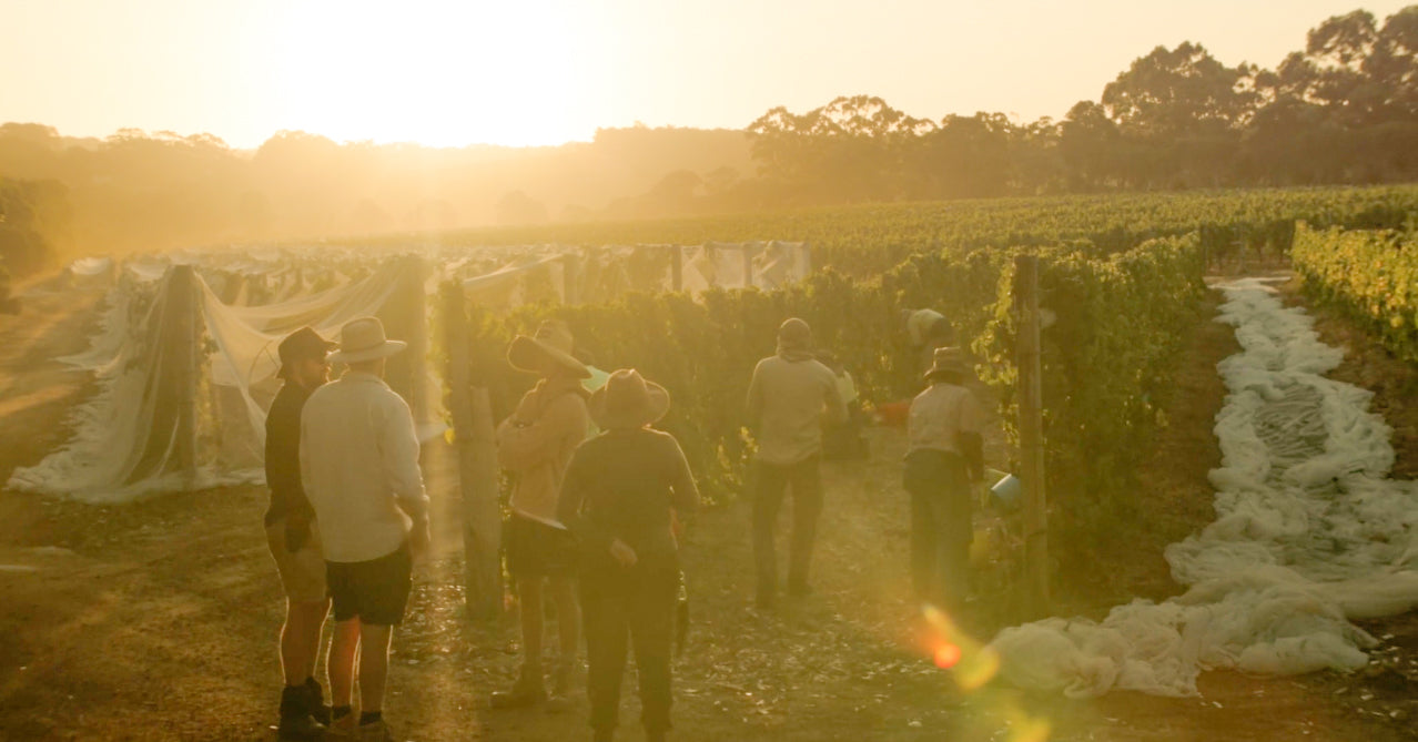 The Winemakers of Australia