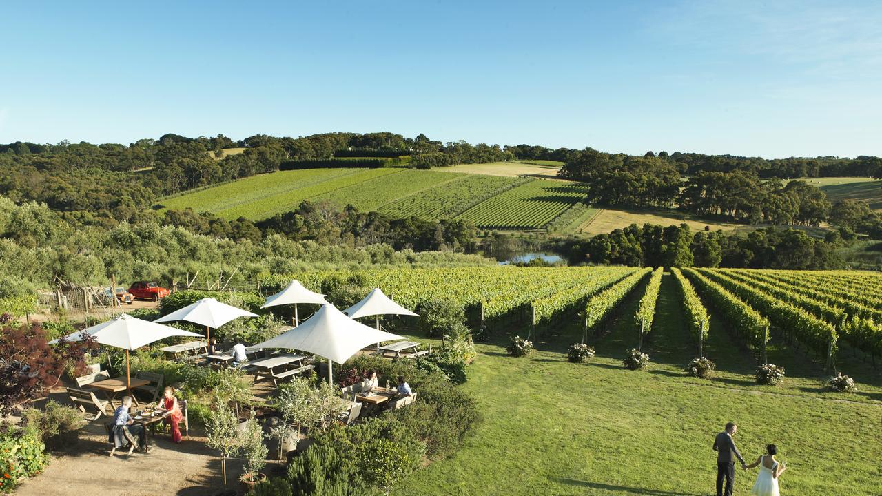 Australian Wines of the Mornington Peninsula