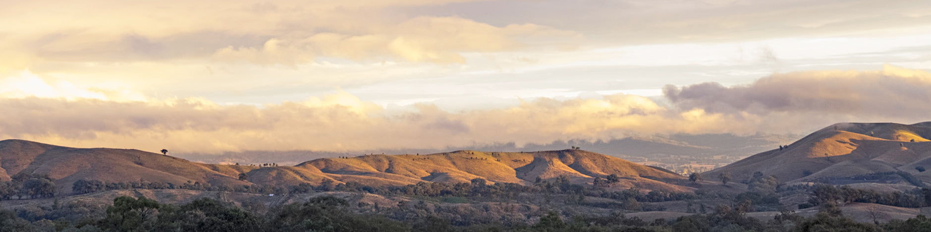 Australian Wines of Beechworth