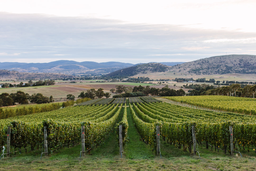 Australian Wines of Tasmania