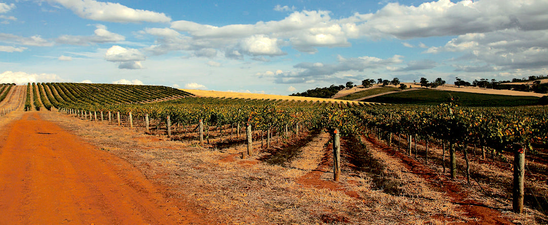 Hentley Farm Wines