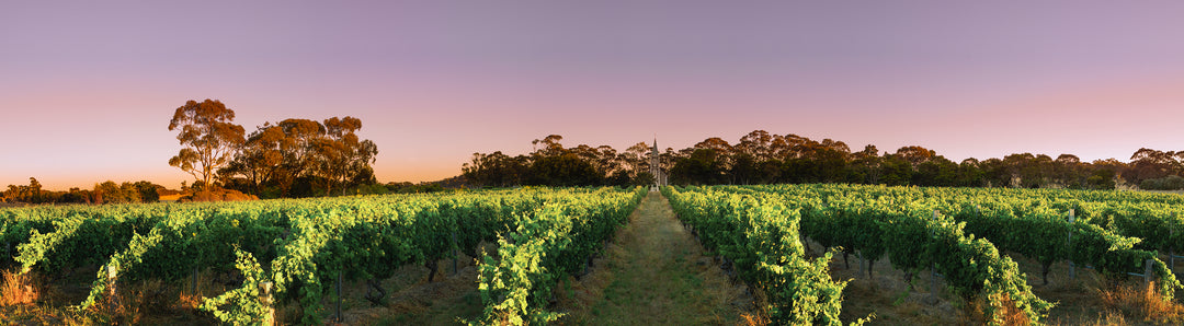 Australian Wines of The Barossa Valley