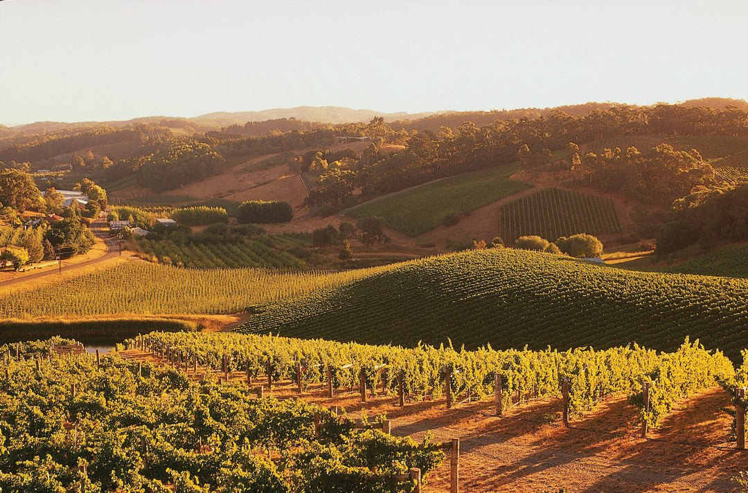 Australian Wines of Adelaide Hills