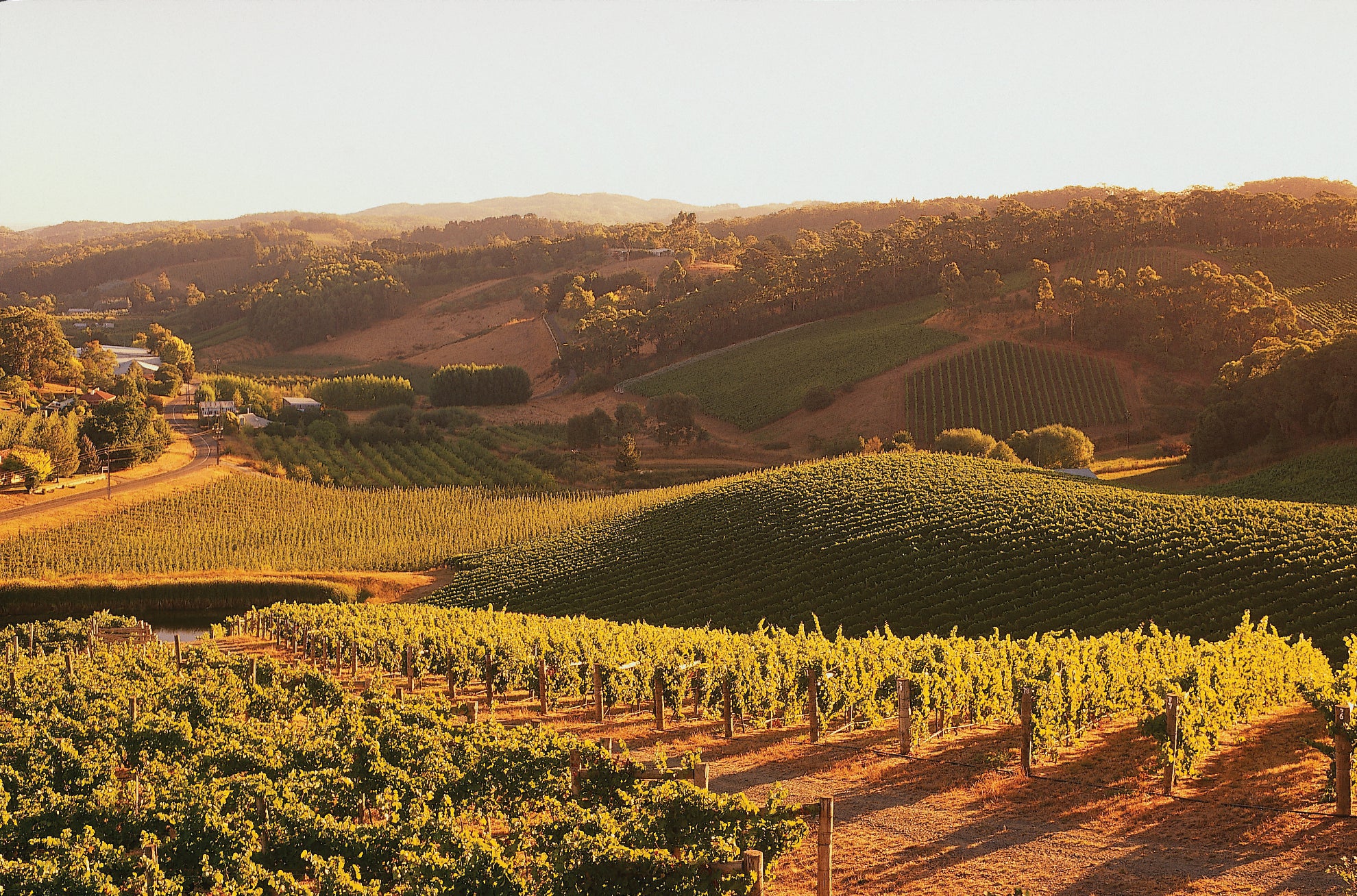 Australian Wines of Adelaide Hills