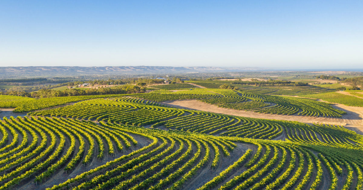 Australian Wines of McLaren Vale.