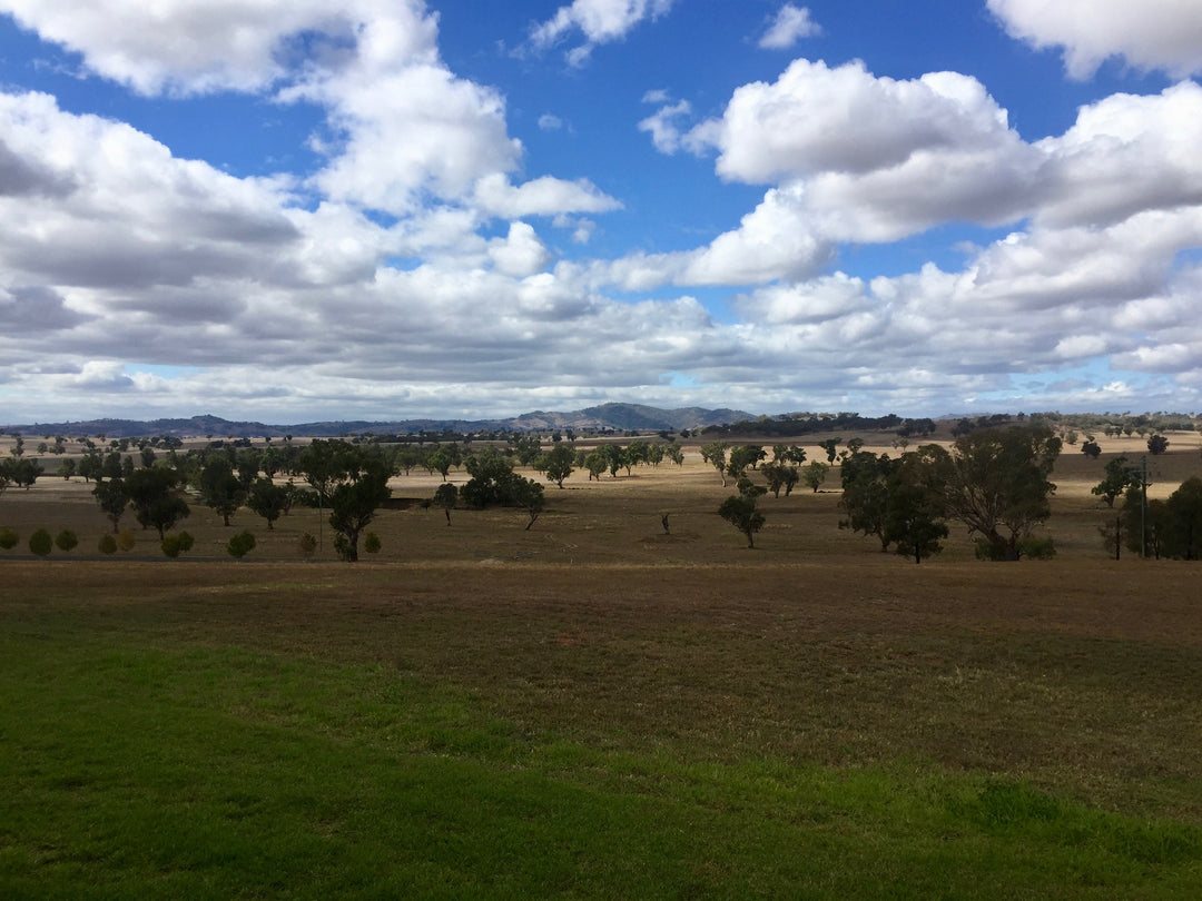 Australian Wines of New South Wales