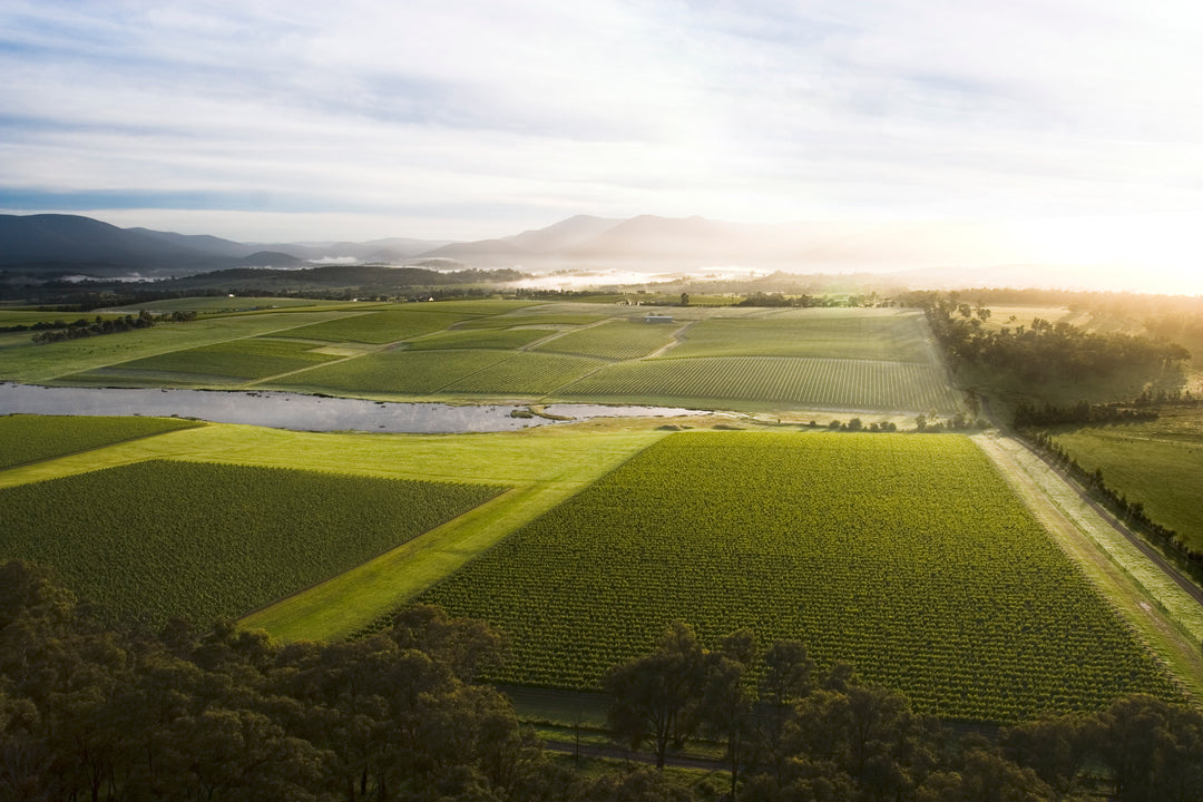 Australian Wines of Victoria