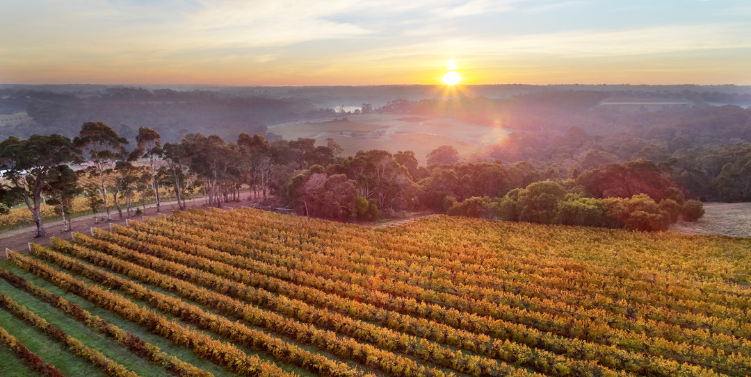 The Wines of Western Australia